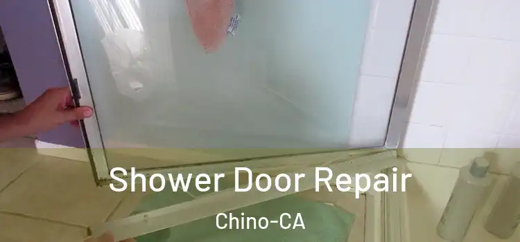  Shower Door Repair Chino-CA